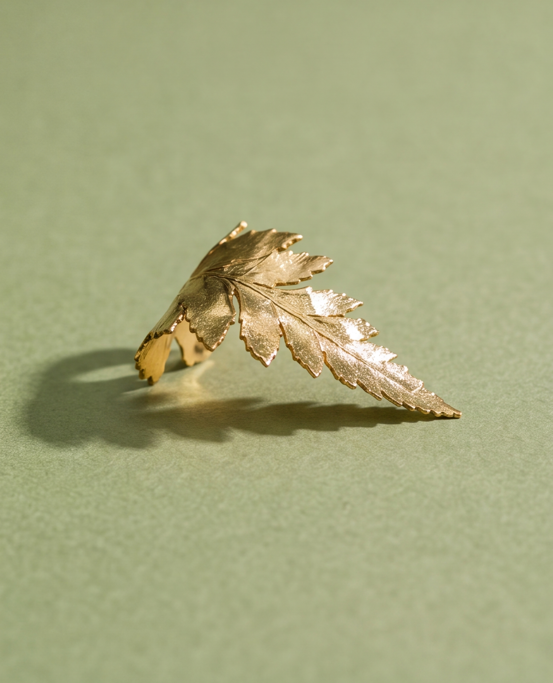 Corella Ring