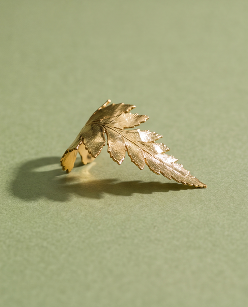 Corella Ring