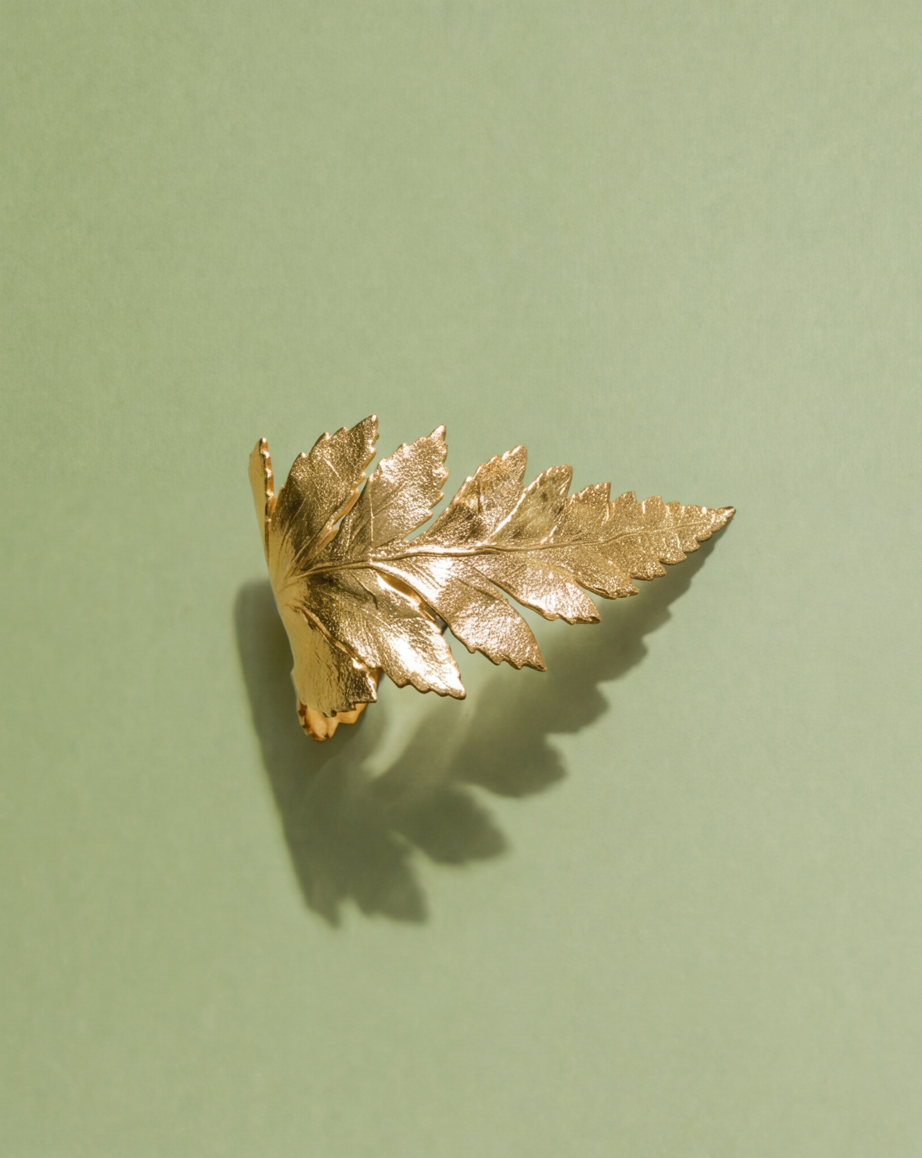 Corella Ring